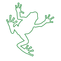 The frog walk to chool
